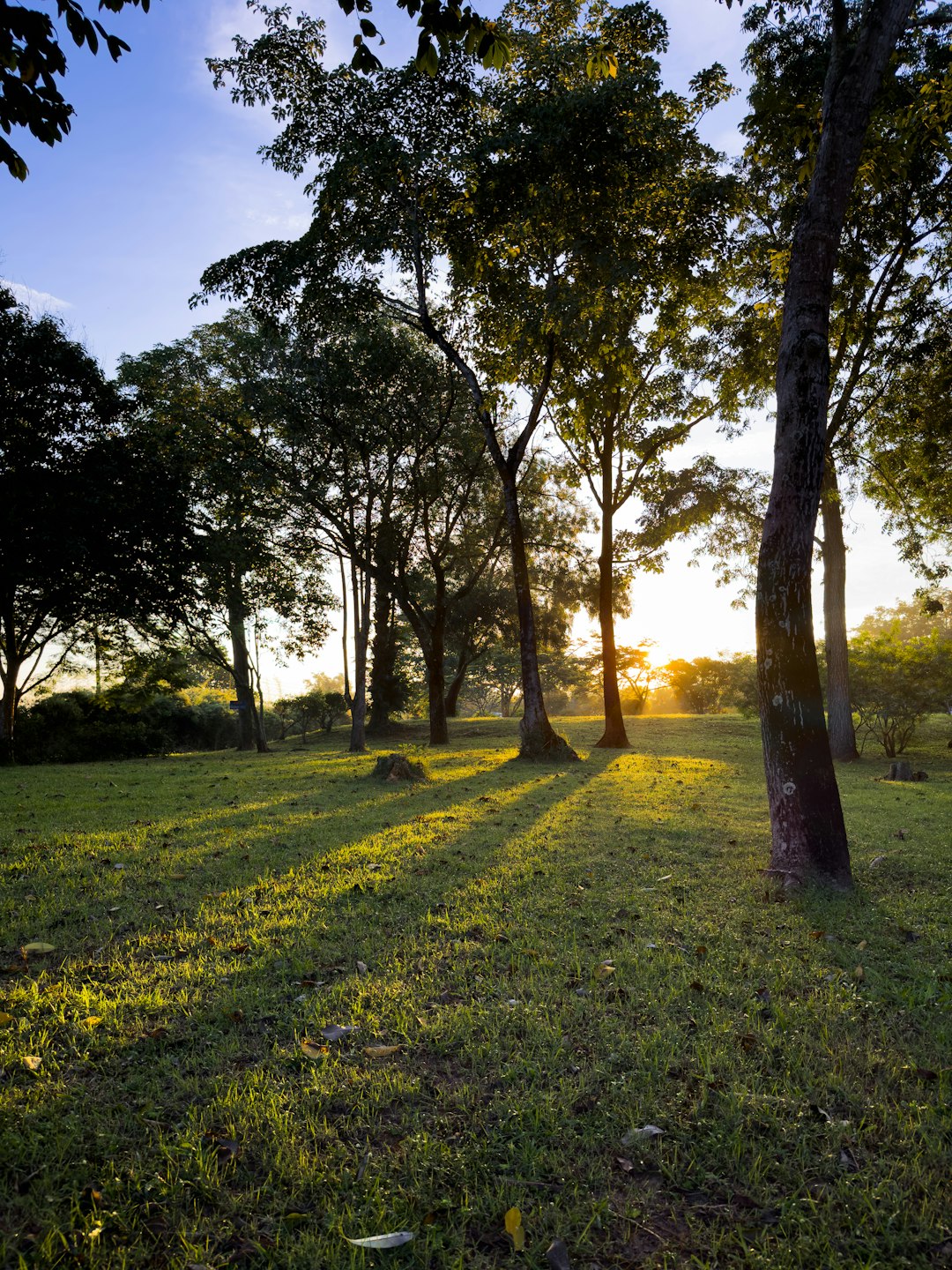 What is the worth of Wisconsin land when costing cash money?